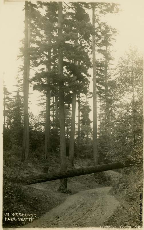 Image 90 - In Woodland Park Seattle