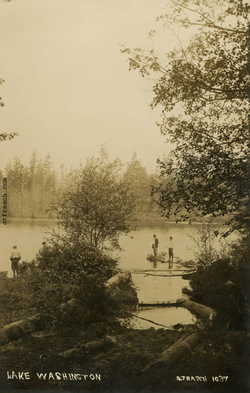 Image 1037 - Lake Washington
