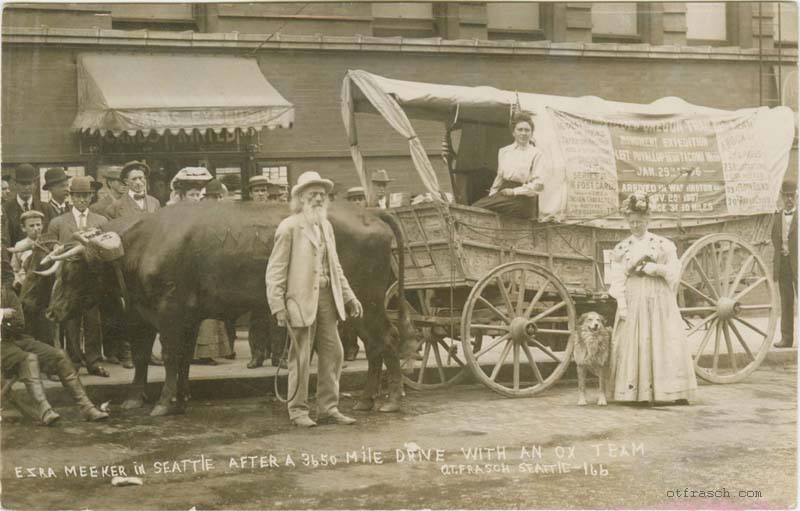 Image 166 - Ezra Meeker in Seattle After a 3650 Mile Drive with an Ox Team