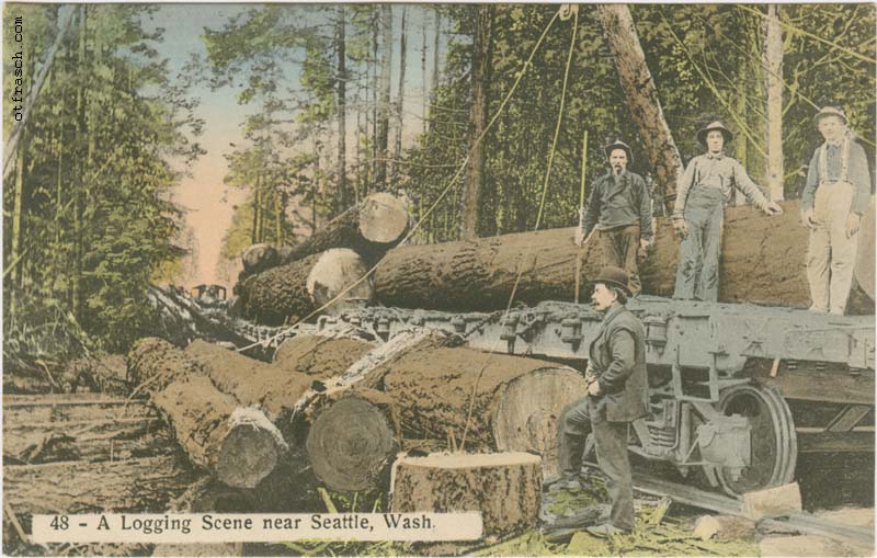 Copy of Image 179 - A Logging Scene near Seattle, Wash.