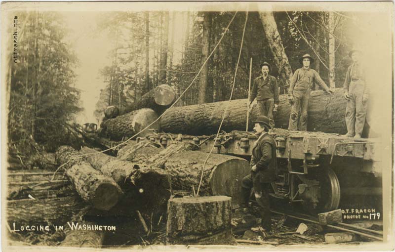 Image 179 - Logging in Washington