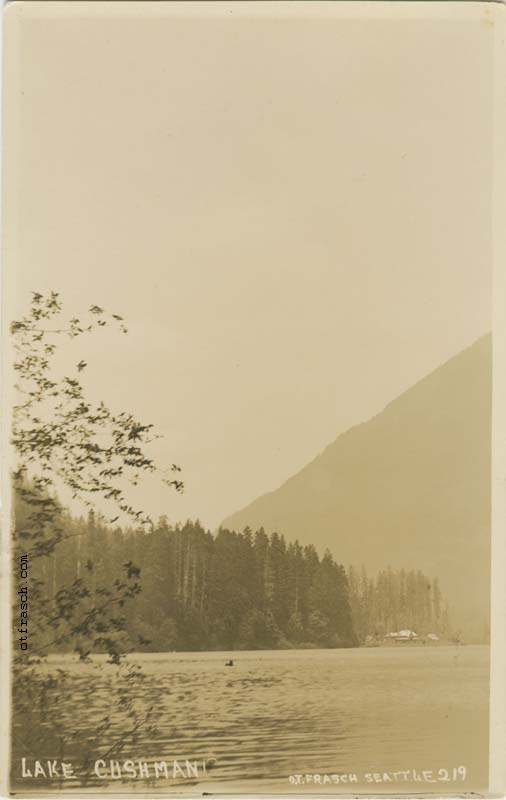 Image 219 - Lake Cushman