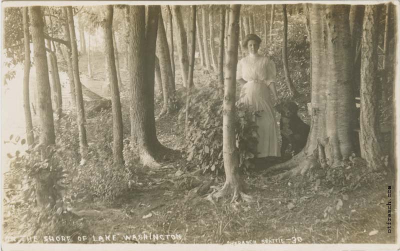 Image 30 - On the Shore of Lake Washington