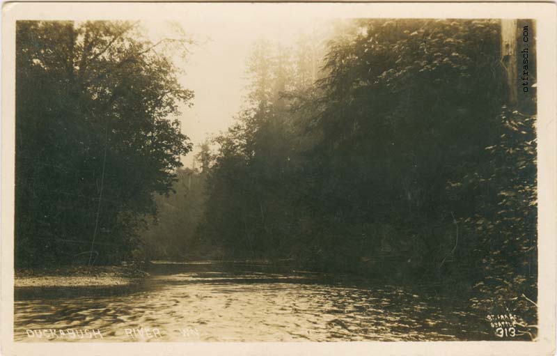 Image 313 - Duckabush River Wn