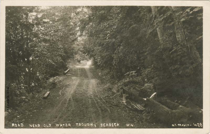 Image 428 - Road Near Old Water Trough, Seabeck Wn.