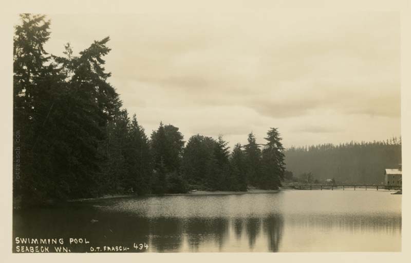 Image 434 - Swimming Pool Seabeck Wn.