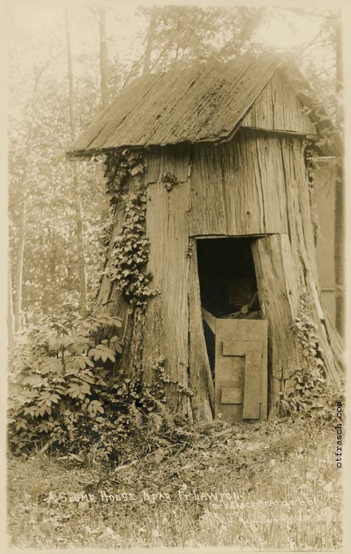 Image 661 - A Stump House near Ft. Lawton