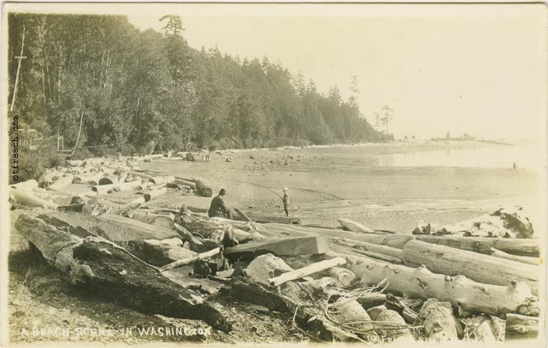 Image 666 - A Beach Scene in Washington