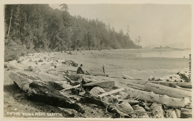 Image 666 - On the Beach Near Seattle