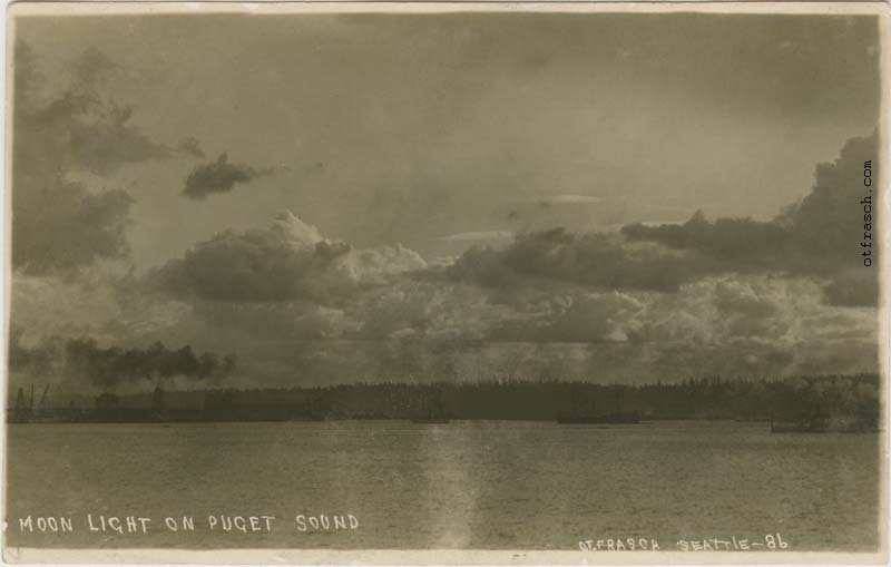 Image 86 - Moon Light on Puget Sound