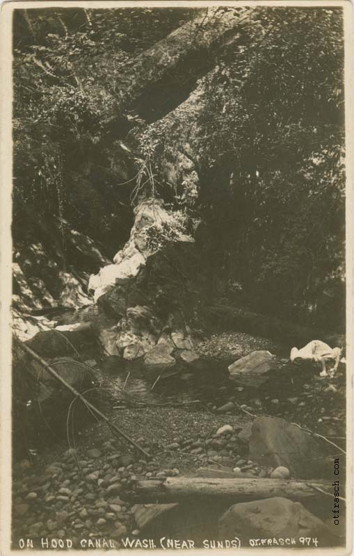 Image 974 - On Hood Canal Wash. (Near Sunds)