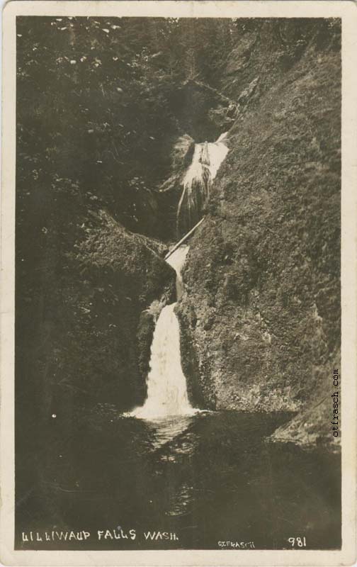 Image 981 - Lilliwaup Falls Wash.