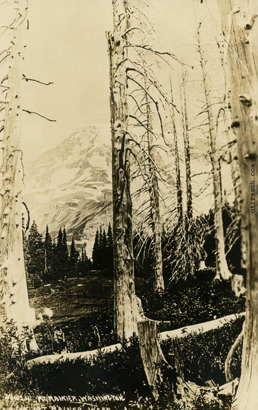 Copy of Unnumbered Image - Mt. Rainier Washington