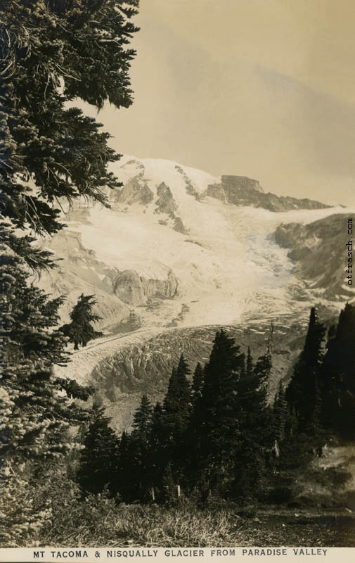 Copy of Image R17 - Mt. Tacoma & Nisqually Glacier from Paradise Valley