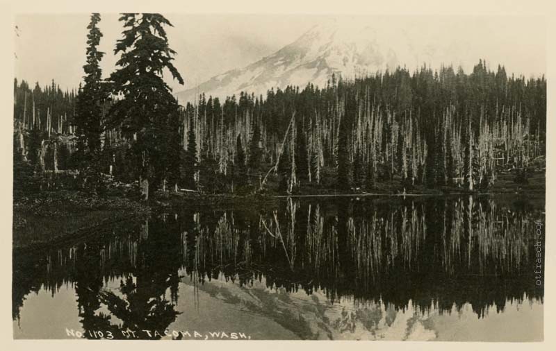 Copy of Image R6 - Mt. Rainier Washington