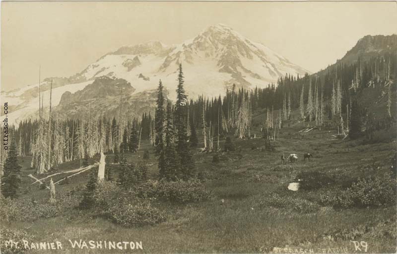 Image R9 - Mt. Rainier Washington