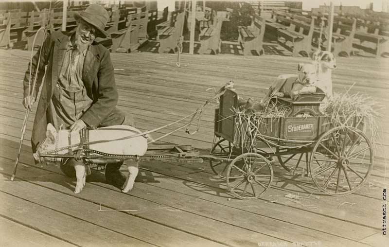 Untitled, Unnumbered Image - Uncle Hiram with his Menagerie