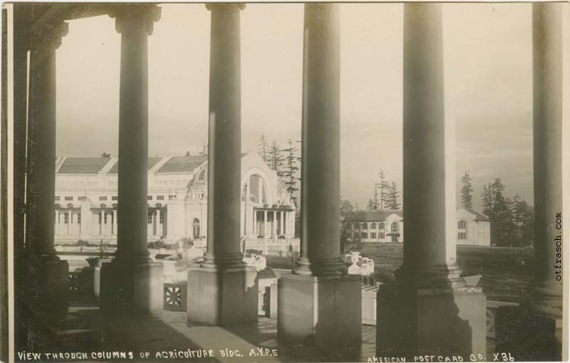 Image X36 - View Through Columns of Agriculture Bldg. A.Y.P.E.