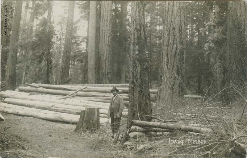O. T. Frasch Image 31 - Idaho Timber
